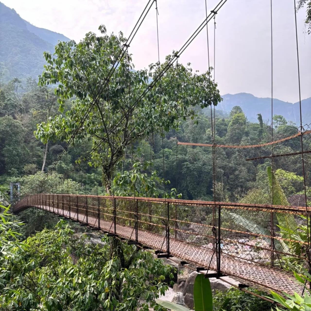 Odyssey Nongriat - 3kms Trek From Main Road Homestay